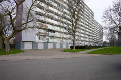Hoofdfoto